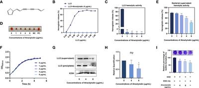 Anti-inflammatory, antioxidant and anti-virulence roles of atractylodin in attenuating Listeria monocytogenes infection